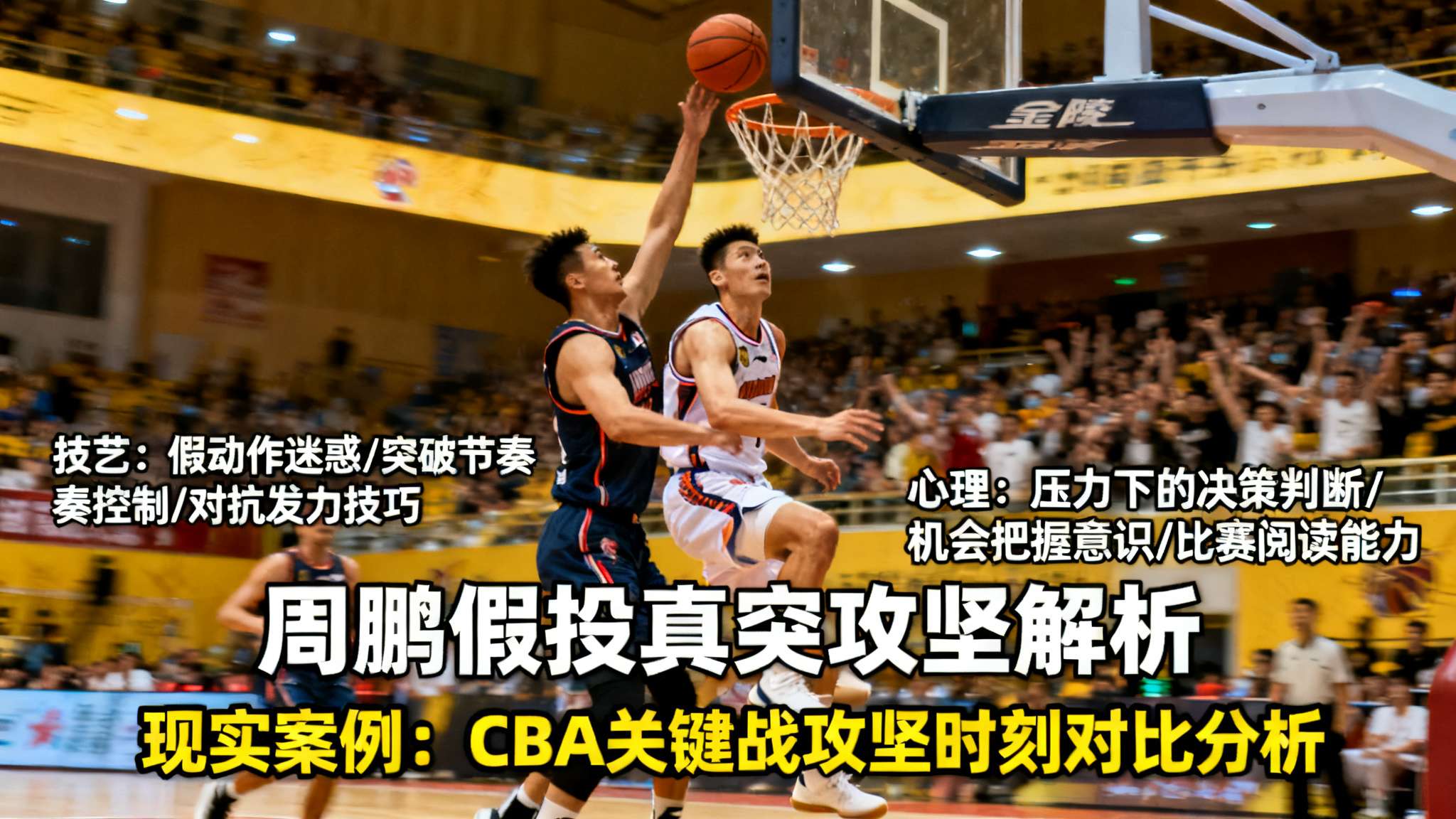 乐鱼体育